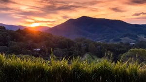 Blog_Gympie2